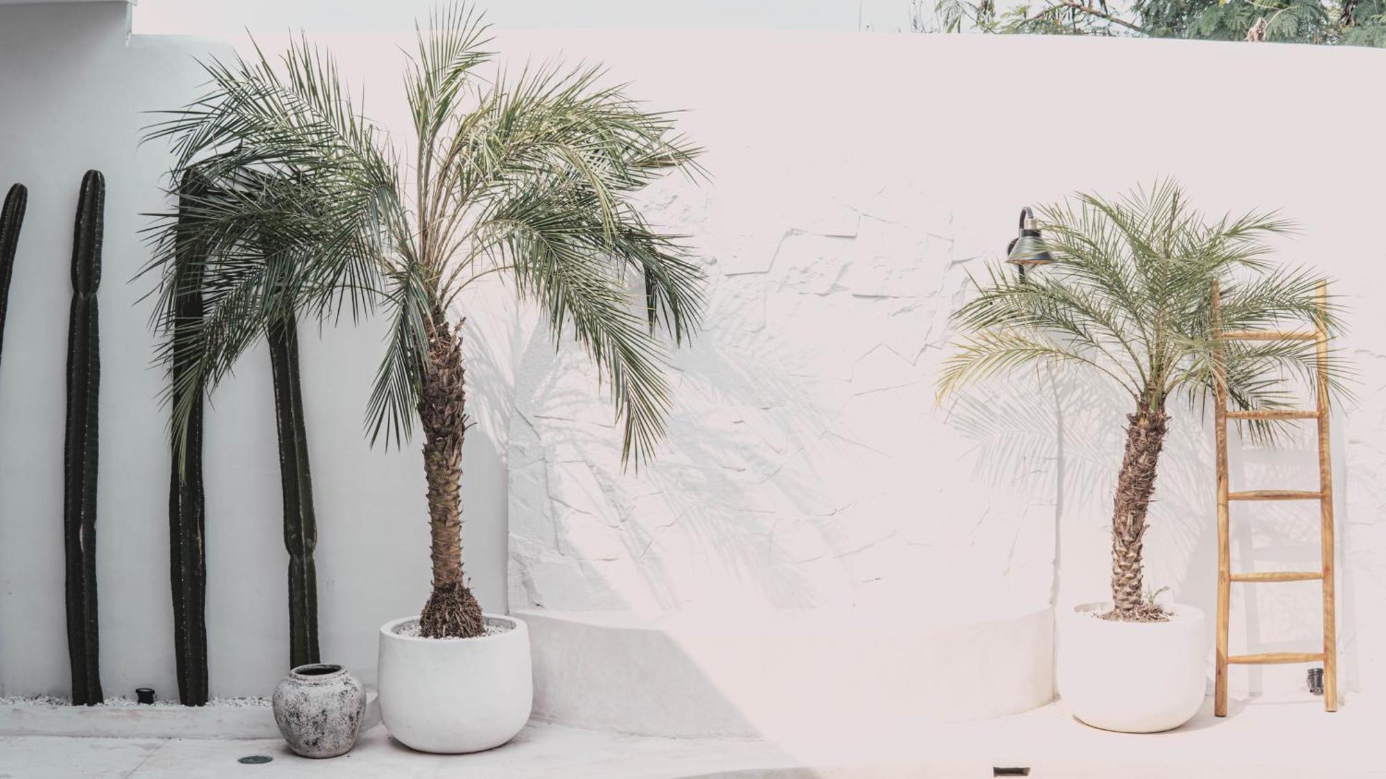 Bohemian Jogja Villas With Private Pool Kejayan Экстерьер фото